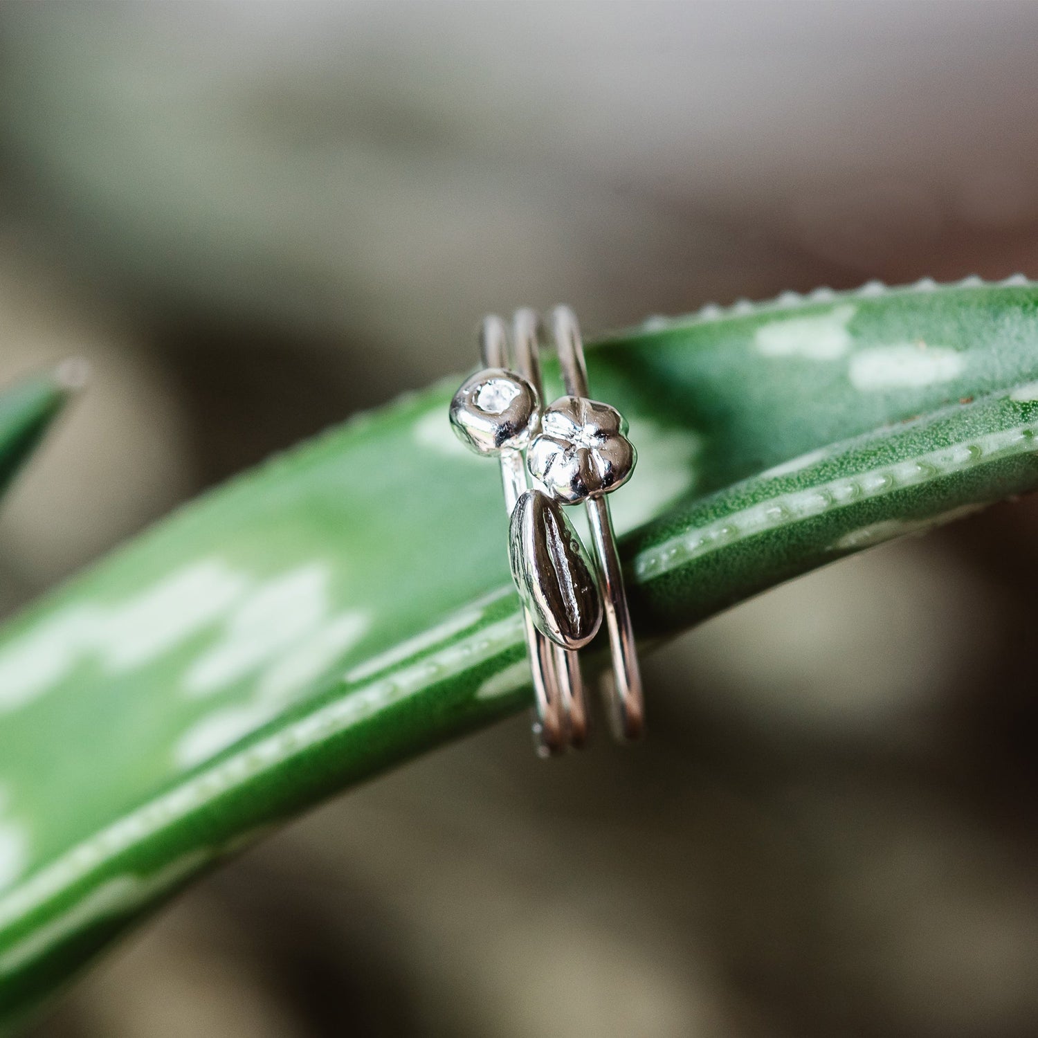 Stories from the garden - Pip rings